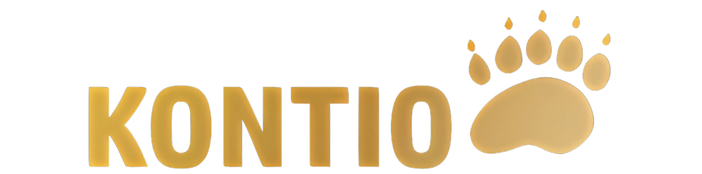 KONTIO 165 R 15   87T   KONTIO   WhitePaw Classic WW